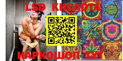 крисы Гулькевичи