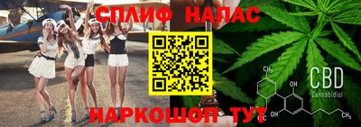 ECSTASY Будённовск