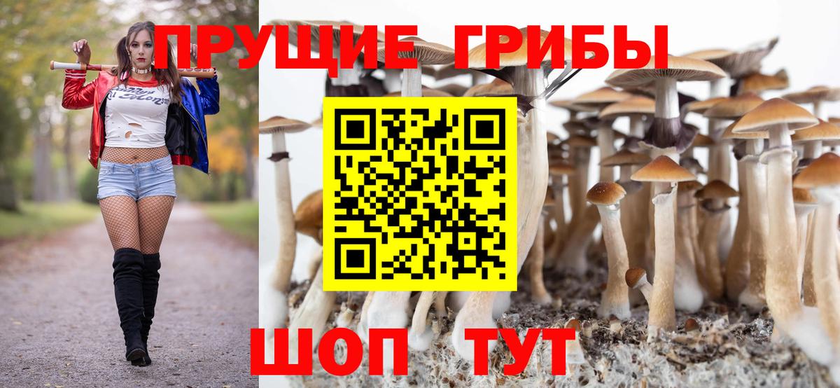 Псилоцибиновые грибы GOLDEN TEACHER Ликино-Дулёво